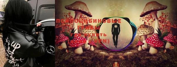 дурь Беломорск